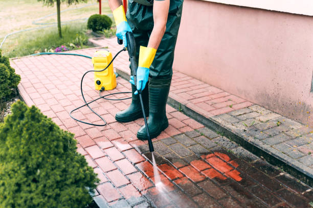 Best Roof Washing  in Jacinto City, TX